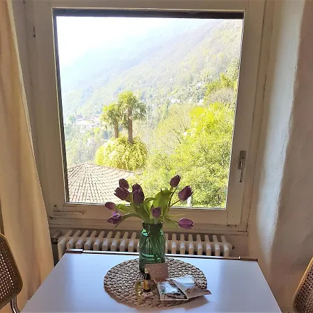 Sasso Marco